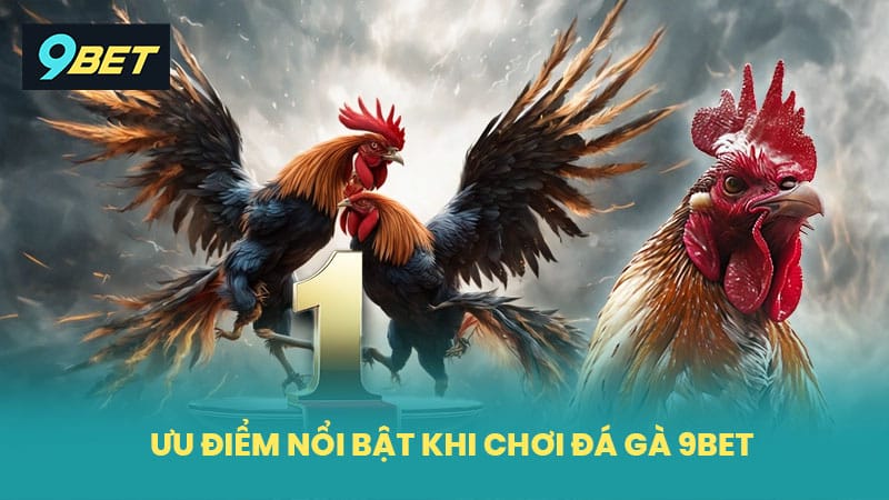 Ưu điểm nổi bật khi chơi đá gà 9BET